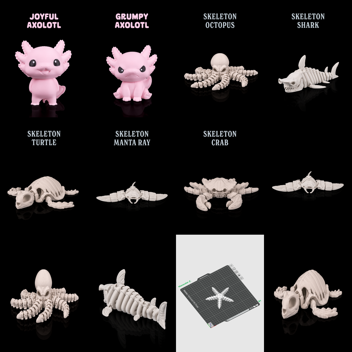 Aquatic Creatures