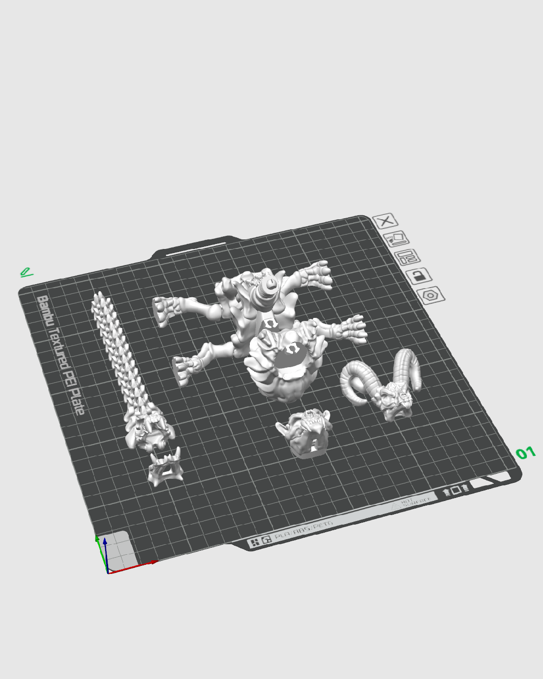 CHIMERA SKELETON