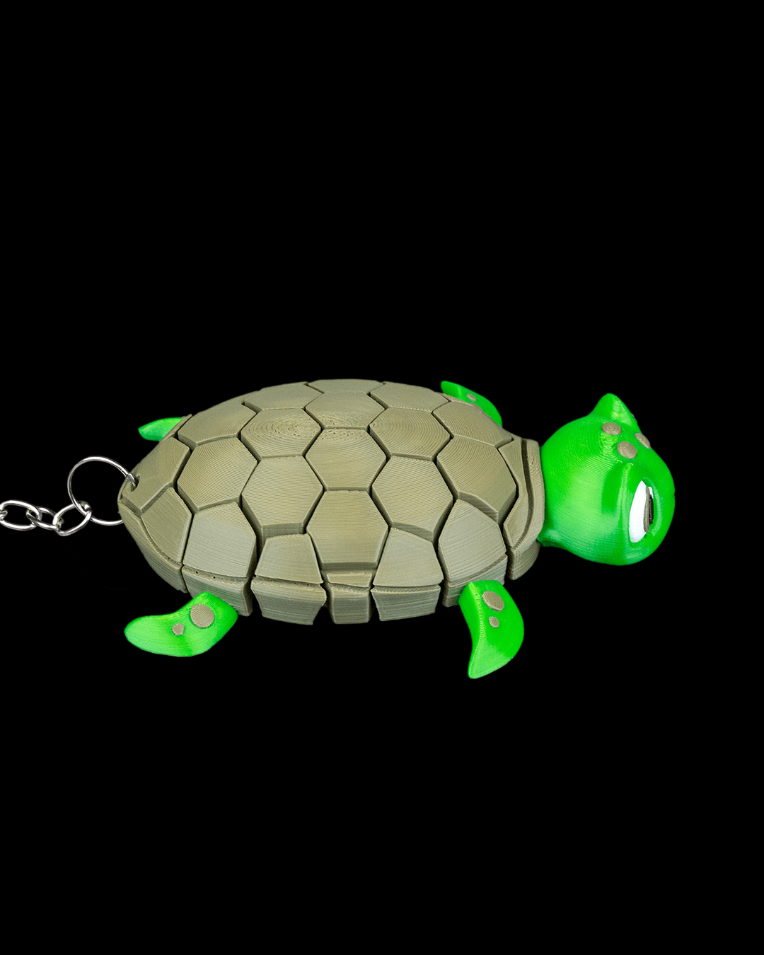 MYRTLE THE TURTLE