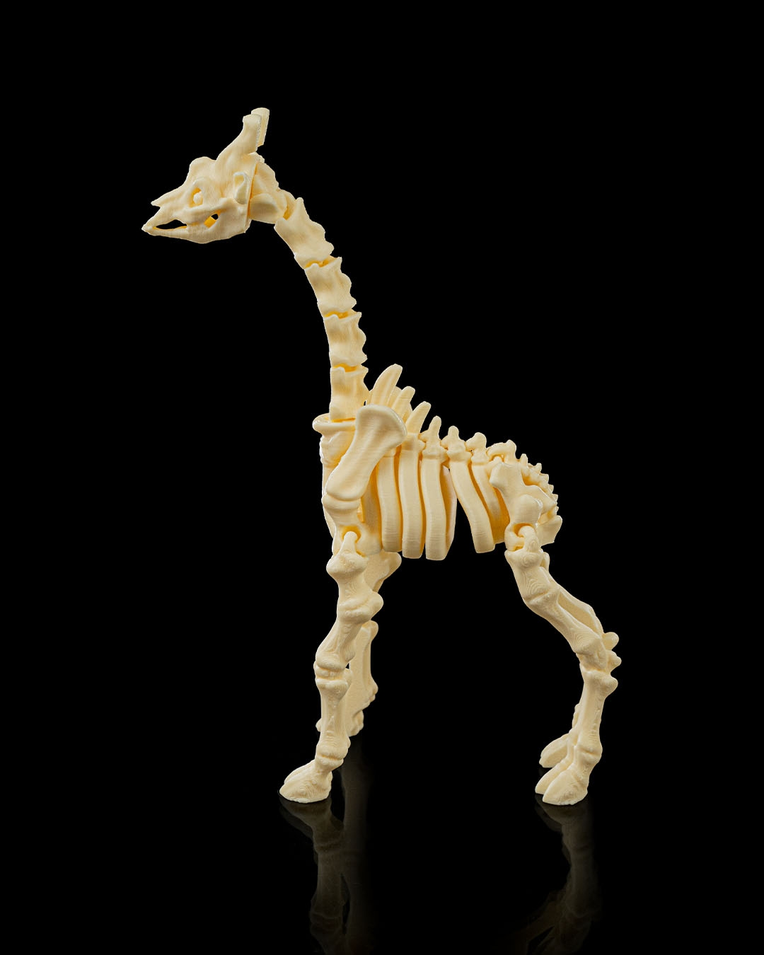 SKELETON GIRAFFE