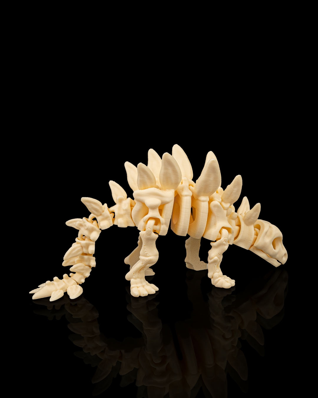 SKELETON STEGOSAURUS