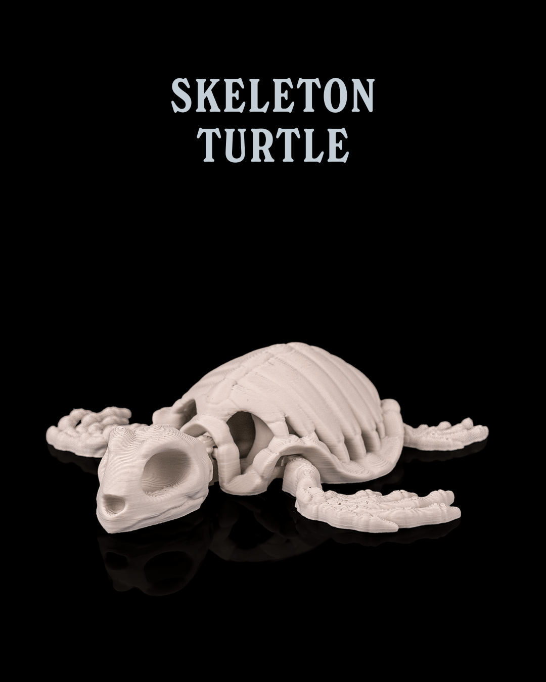 Skeleton Turtle - 3D Printed Reptile Figure